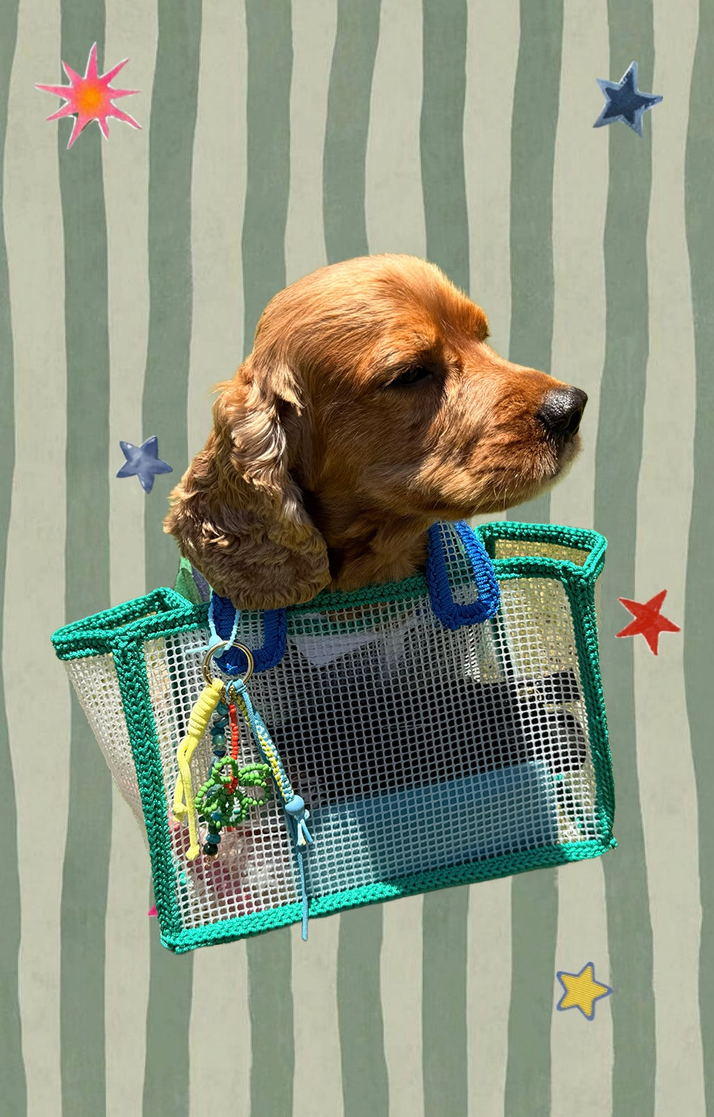 The Mesh Tote