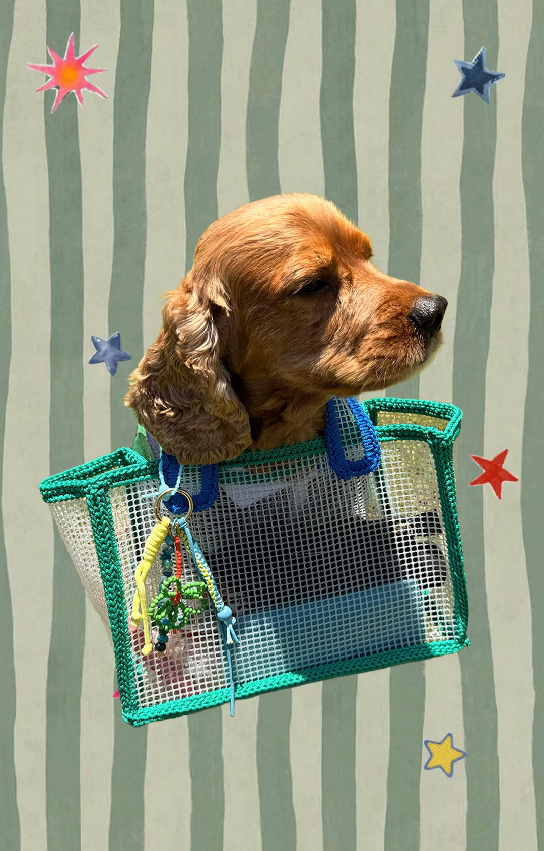 The Mesh Tote